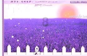 江城区委九届第102次常委会扩大会议暨区委党的建设工作领导小组会议召开