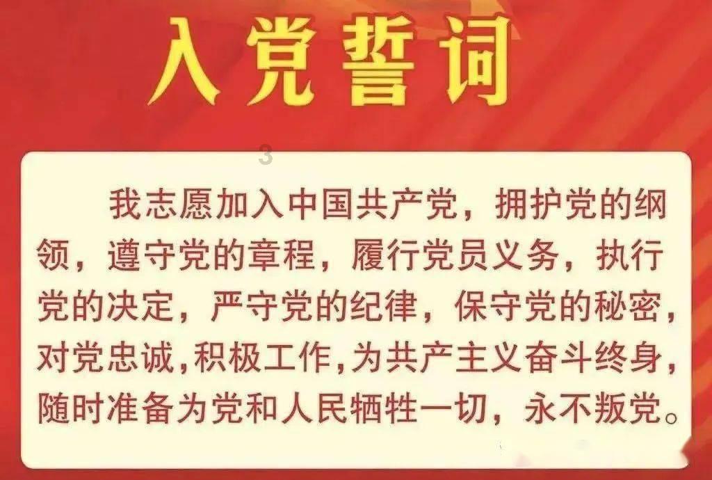 救援呆萌的猫